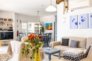 TV, fireplace, DVD player, books