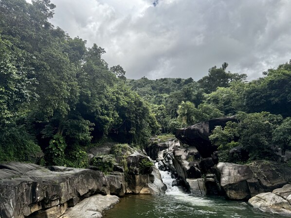 A natural landscape with a waterfall, dense forest, and rocky terrain.