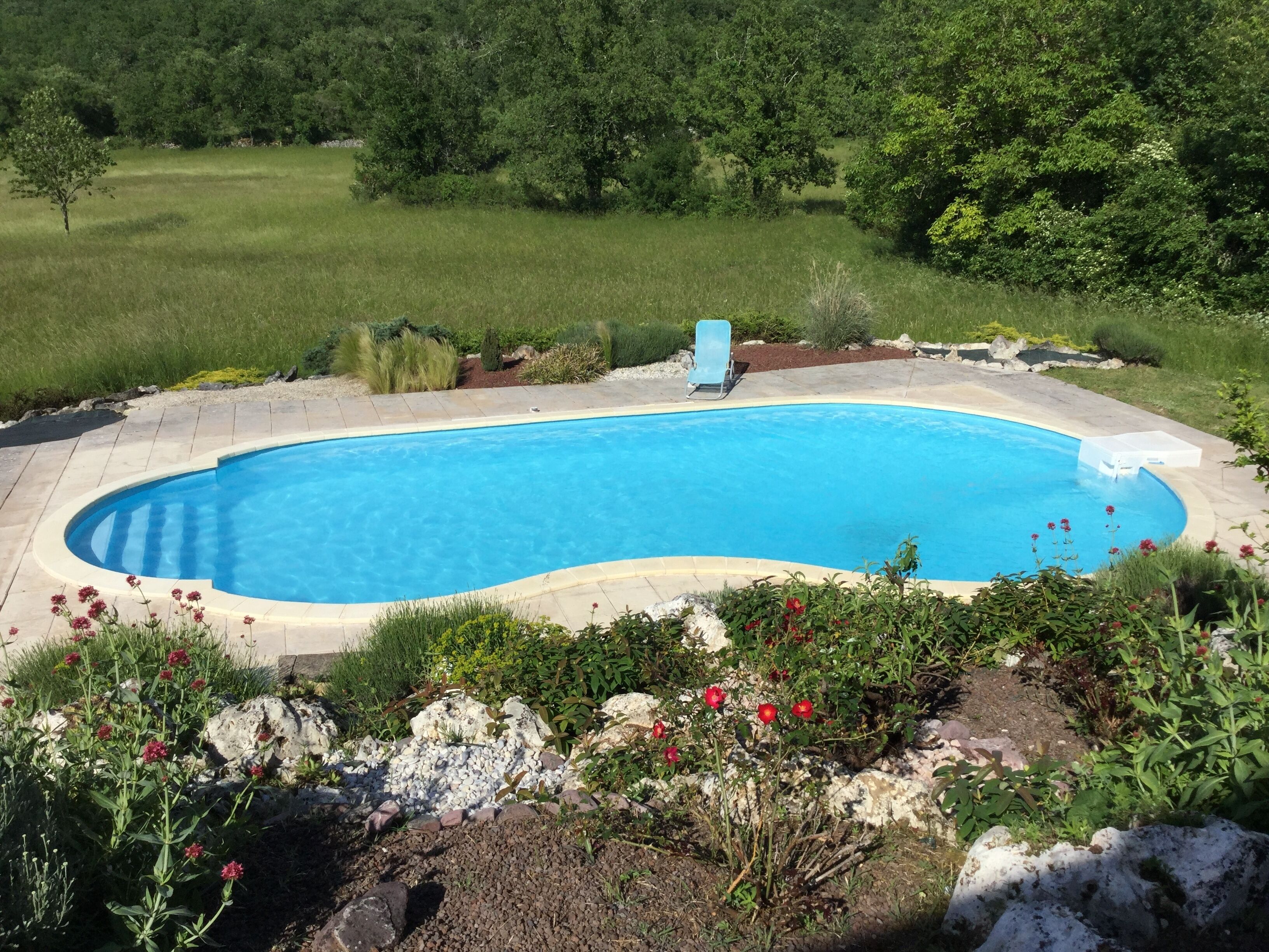 A swimming pool with a curved edge, surrounded by a landscaped garden with rocks and plants.