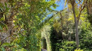 A concrete staircase surrounded by lush greenery and trees.