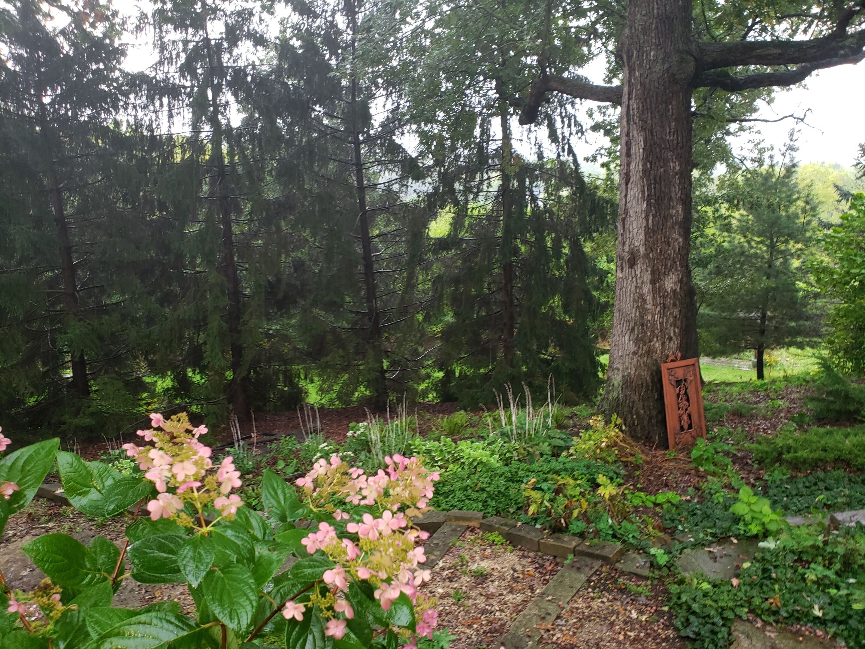 Un jardín con un árbol grande, plantas en flor y un letrero de madera.