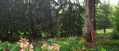 Un jardín con un árbol grande, plantas en flor y un letrero de madera.
