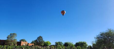 Luxury Double Room, Ensuite, Pool View (Cuarto de Enchantment) | View from property