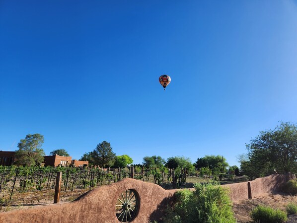 Luxury Double Room, Ensuite, Pool View (Cuarto de Enchantment) | View from property - Red Mountain Manor Vineyard and Guesthouse (Corrales)
