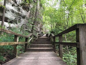 Ascend through lush greenery to scenic views.