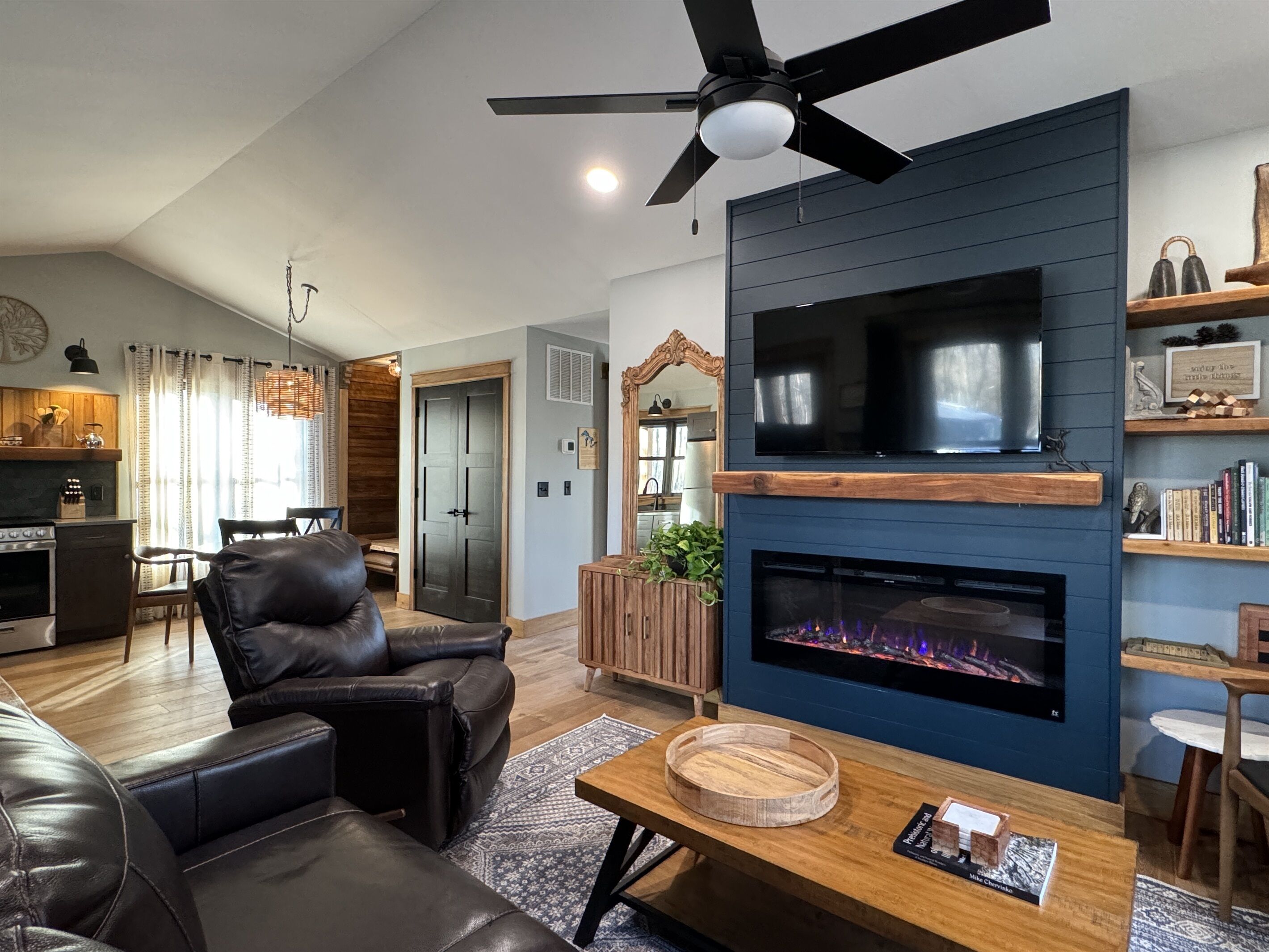 Smart TV, chimenea y libros 