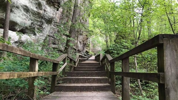 Un escalier en bois menant au sommet d’une falaise rocheuse, le tout entouré d’une végétation luxuriante.