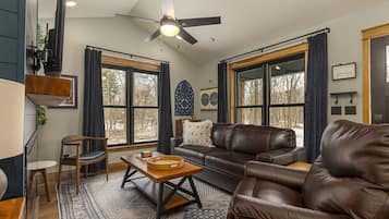 Smart TV, fireplace, books