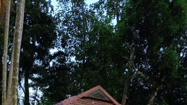 A small house with a tiled roof, a pond with lily pads, and trees in the background. - Shantitheeram Ayurveda (Cherthala)