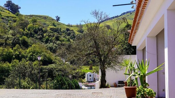 Un cortile con pavimento in pietra, piante in vaso e un edificio con facciata bianca e tegole rosse.