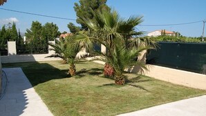 Un quartier résidentiel avec une pelouse bien entretenue, des palmiers et une clôture blanche.