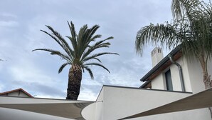 En moderne bygning med et stort palmetræ foran, klar himmel og en synlig garageport.