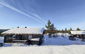 Exterior - 3 bedroom stunning home in Rauland (Rauland)