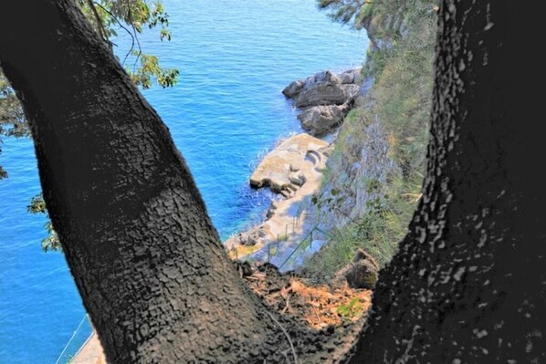 A coastal view with a tree trunk in the foreground, rocky shoreline, and clear blue water. - Villa Sophia with private access to the sea (Minori)