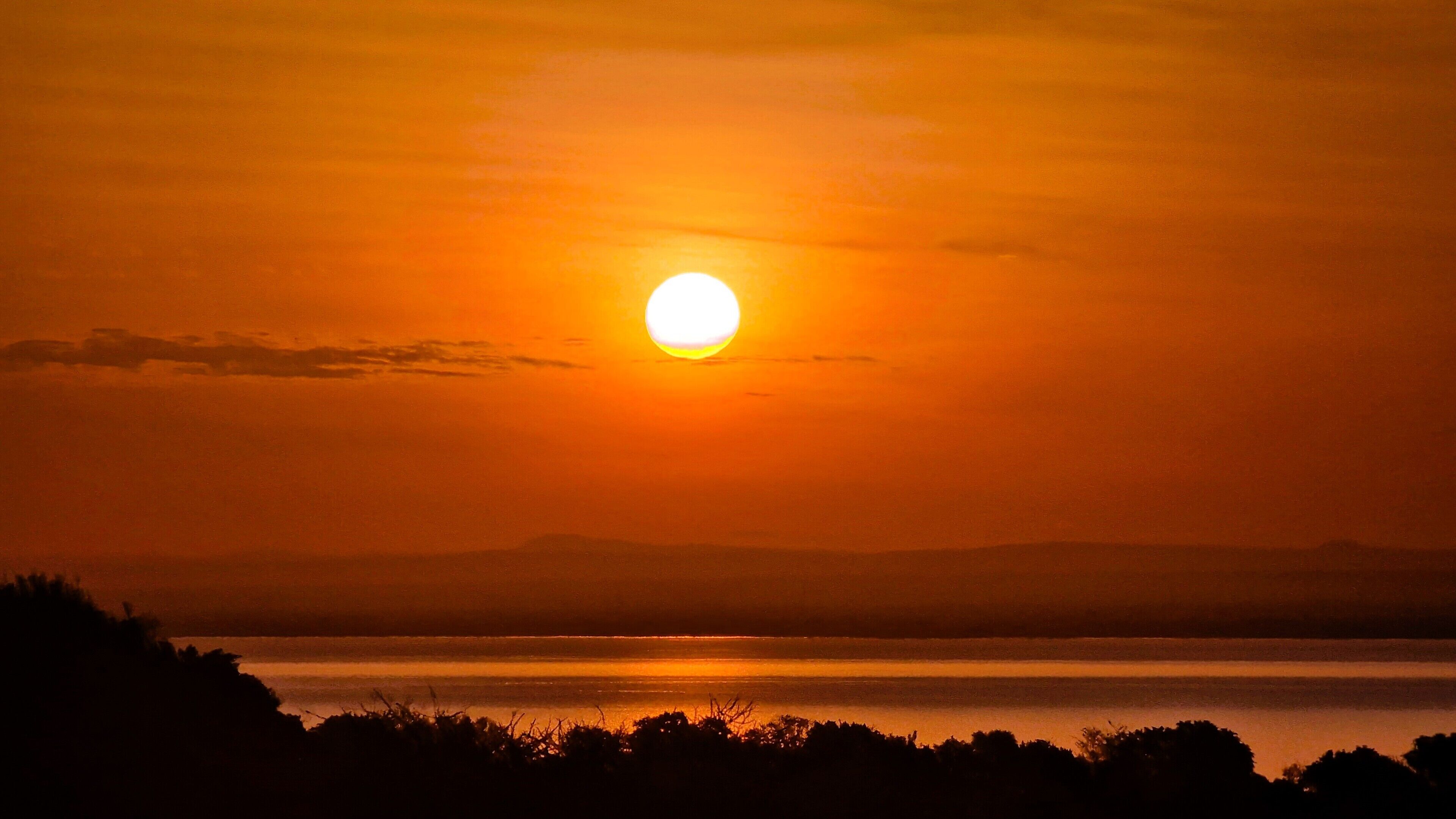 Un atardecer sobre un cuerpo de agua con la silueta de árboles en primer plano.