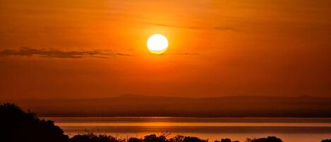 Un atardecer sobre un cuerpo de agua con la silueta de árboles en primer plano.