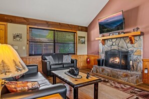 Televisión, chimenea y libros