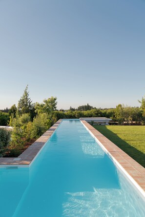 A rectangular swimming pool with a tiled edge, surrounded by a grassy lawn and various shrubs. - Casas da Quinta de Cima (Vila Real Santo Antonio)