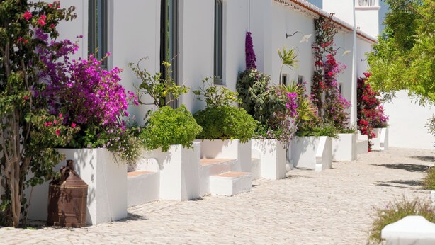 A white building with a tower, a cobblestone path, and flowering plants. - Casas da Quinta de Cima (Vila Real Santo Antonio)