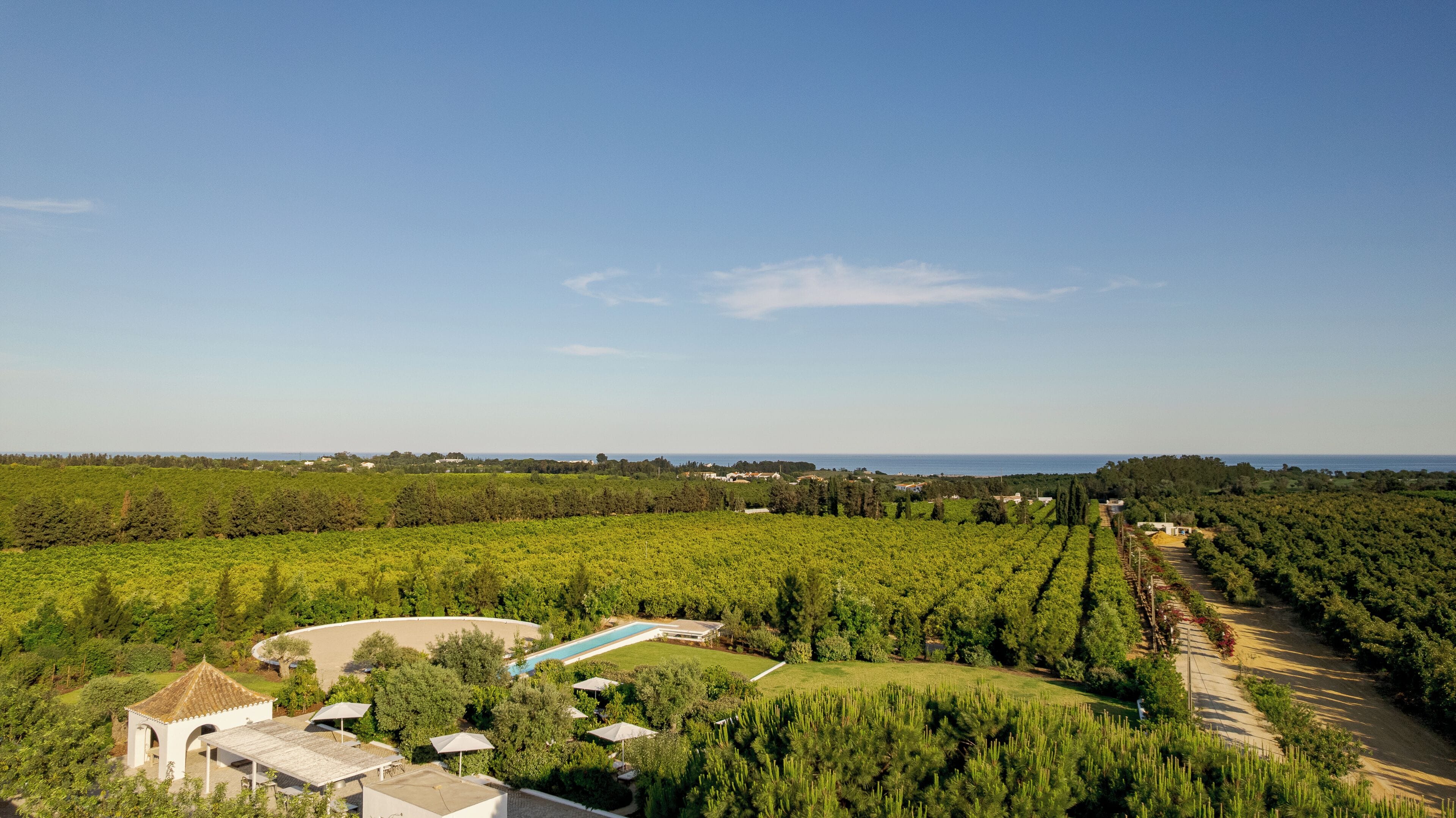 A vineyard with a swimming pool and a gazebo.
