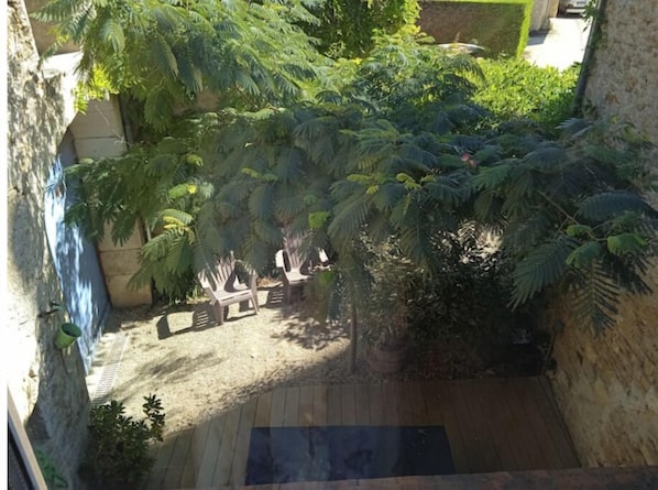 Relax in a serene outdoor space with a lush tree canopy above and a seating area beneath.