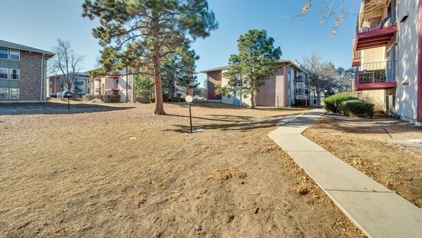 A residential street with houses, a sidewalk, and a tree.