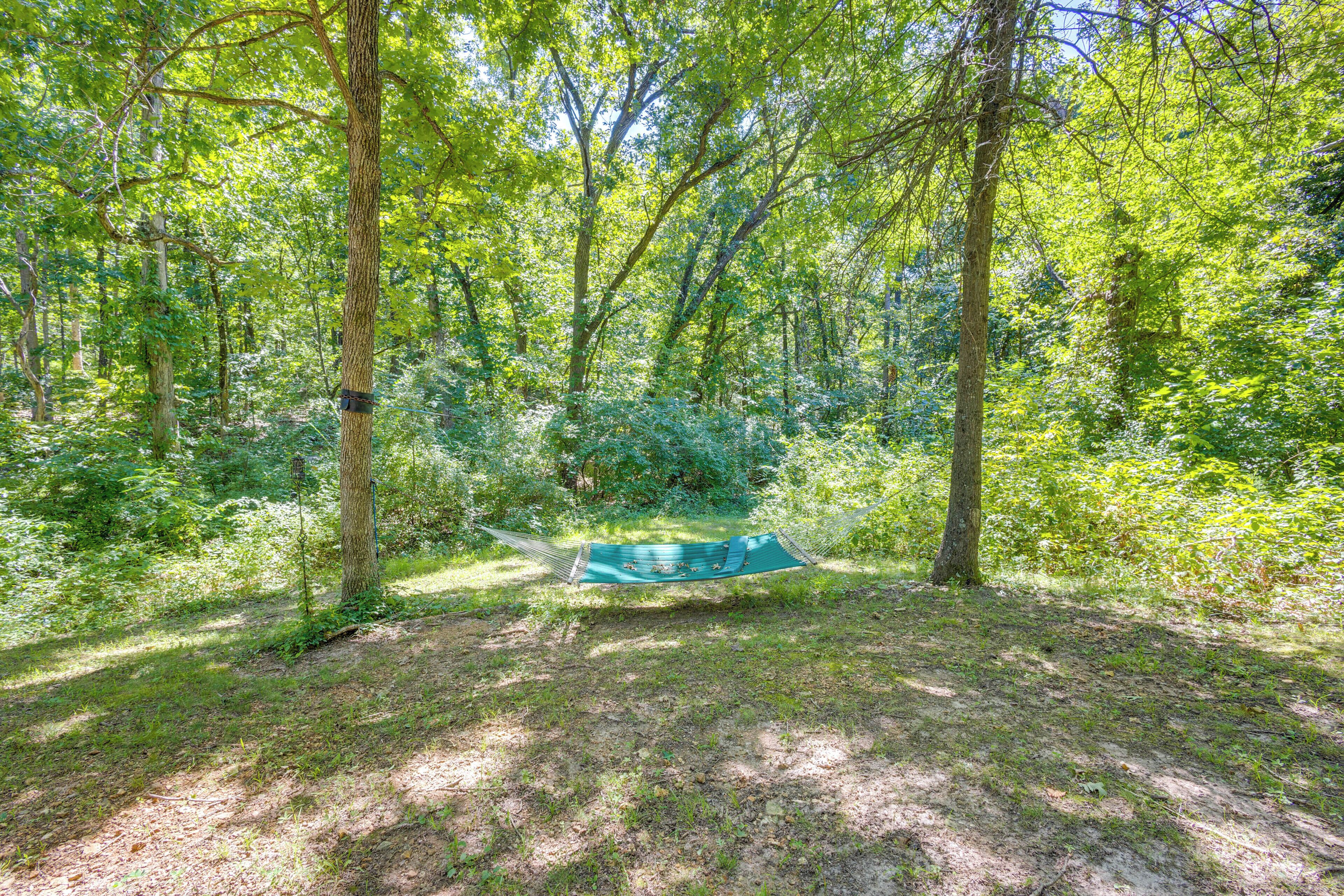 A hammock in a forested area with trees and greenery.