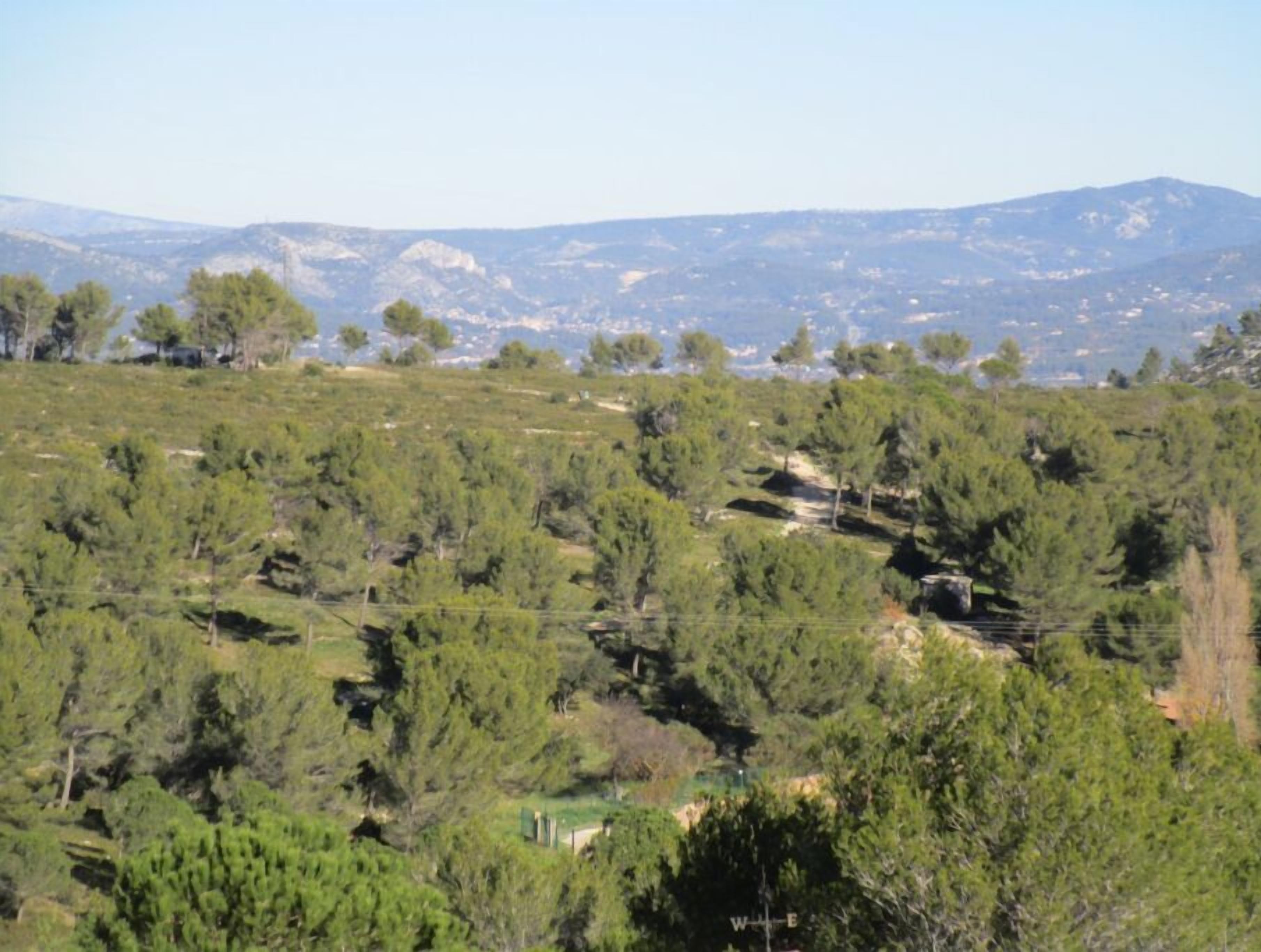 Un paisaje montañoso con árboles dispersos y cielo despejado.