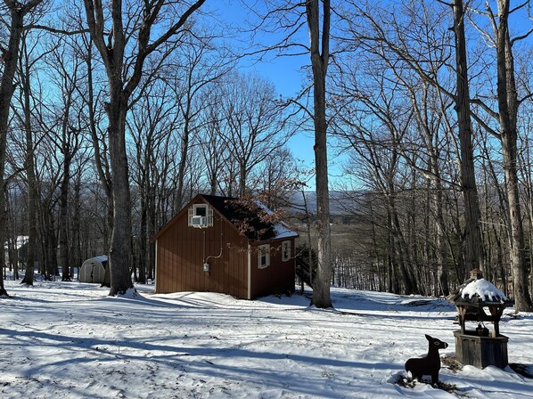 Hus - 1 queensize-säng (Cacapon Mountain View - Incredible Vi) | Exteriör