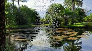 A tranquil pond surrounded by lush greenery and palm trees. - Tranquillité Dans Condominium Front de mer Barra Grande (Maraú)