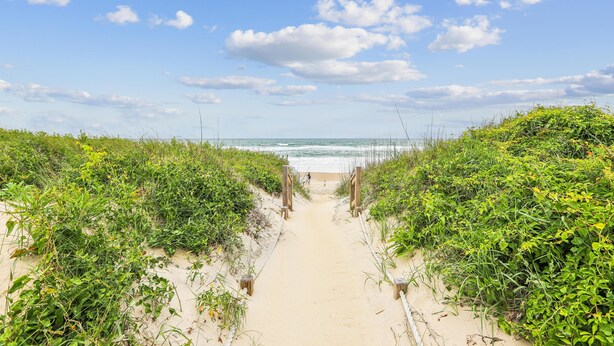 A beach pathway leading to the ocean with natural vegetation on both sides. - Heaven's Nest -- First Floor Duck Condo with direct access to Beach and Pool (Kitty Hawk)