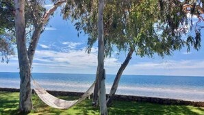 A hammock between trees by a calm sea.
