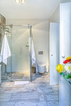 Shower, hair dryer, towels