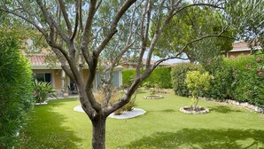 A well-maintained garden with a central tree, surrounded by neatly trimmed hedges and a lawn. - NEW ! VILLA with Parking, Collective Pools, Garden and AC - BENAKEY (Cannes)