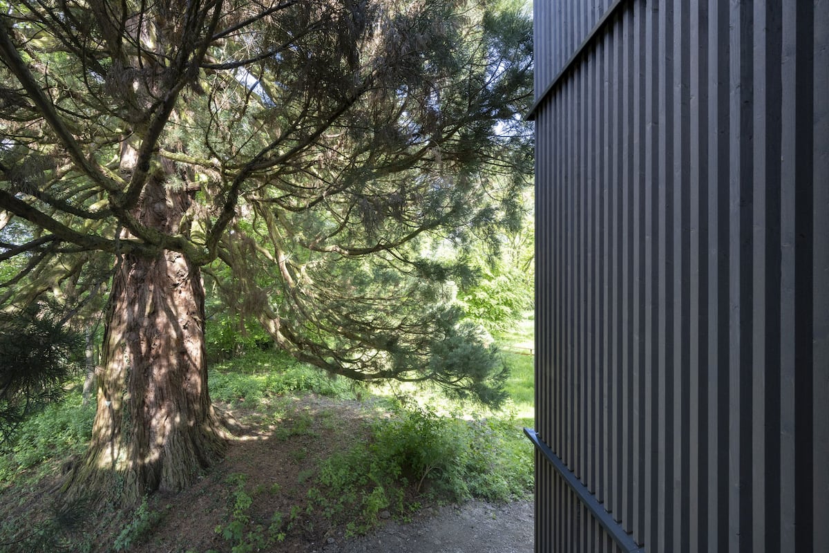 A large tree in front of a building with a metal exterior.
