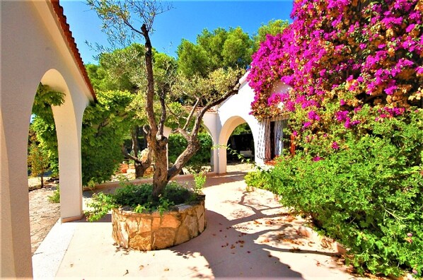 Property grounds - SAONA VILLAS (CP DOLORES) : villa 10 personnes, piscine privée, climatisation (Tres Calas)