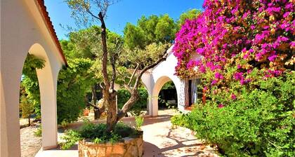 SAONA VILLAS (CP DOLORES) : villa 10 personnes, piscine privée, climatisation