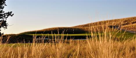 A golf course with a water hazard, surrounded by tall grass and a clear sky.
