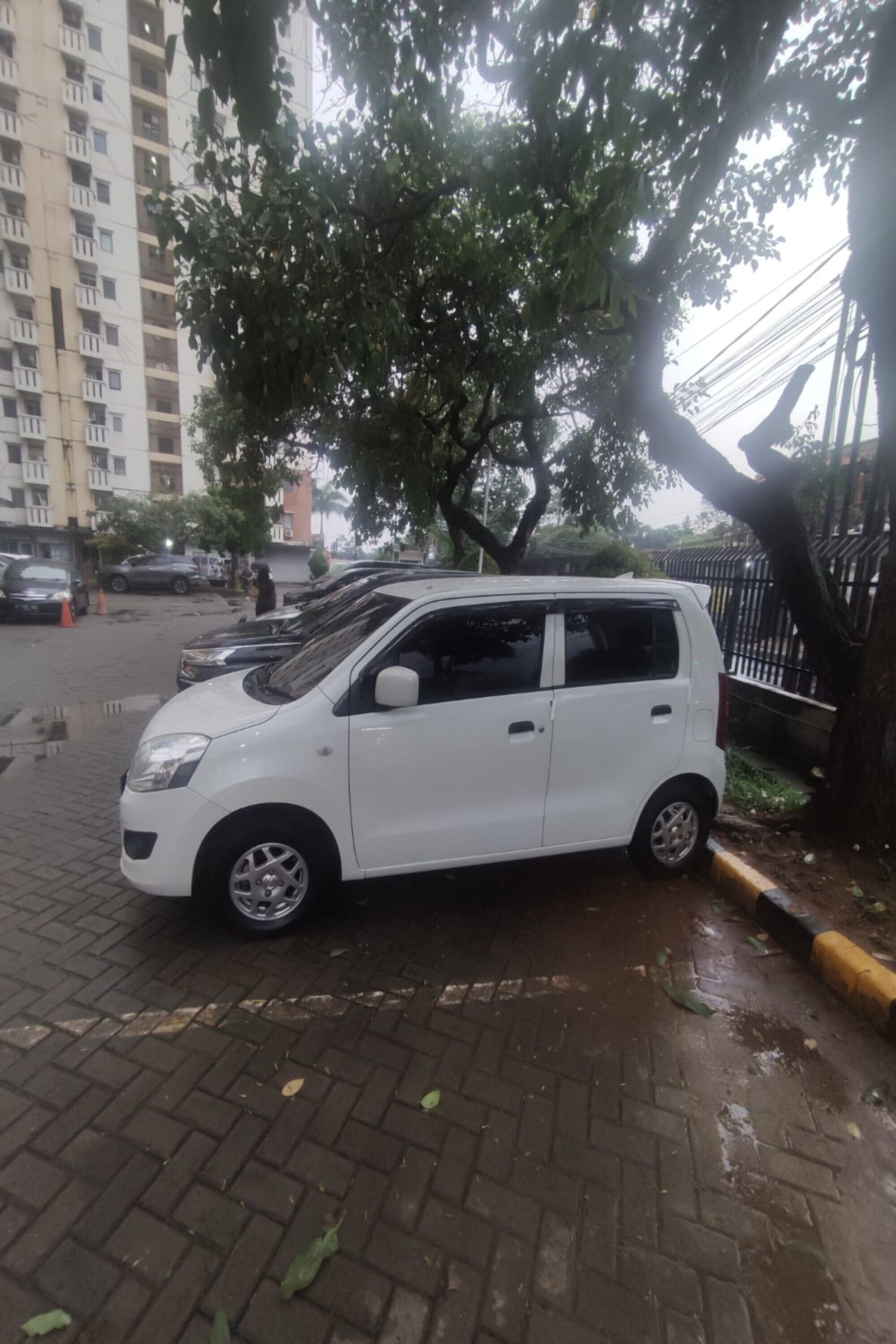 Free self-parking