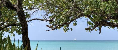 On the beach, sun loungers