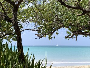 A beach with a tree providing shade, clear turquoise water, and a distant sailboat.