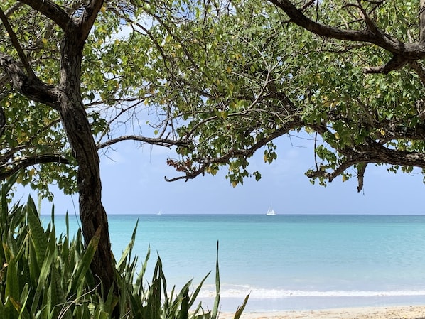 Sulla spiaggia, lettini da mare