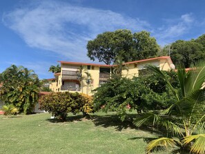 Exterior - Studio "les Pieds Dans L'eau" A STE Anne (STE ANNE)