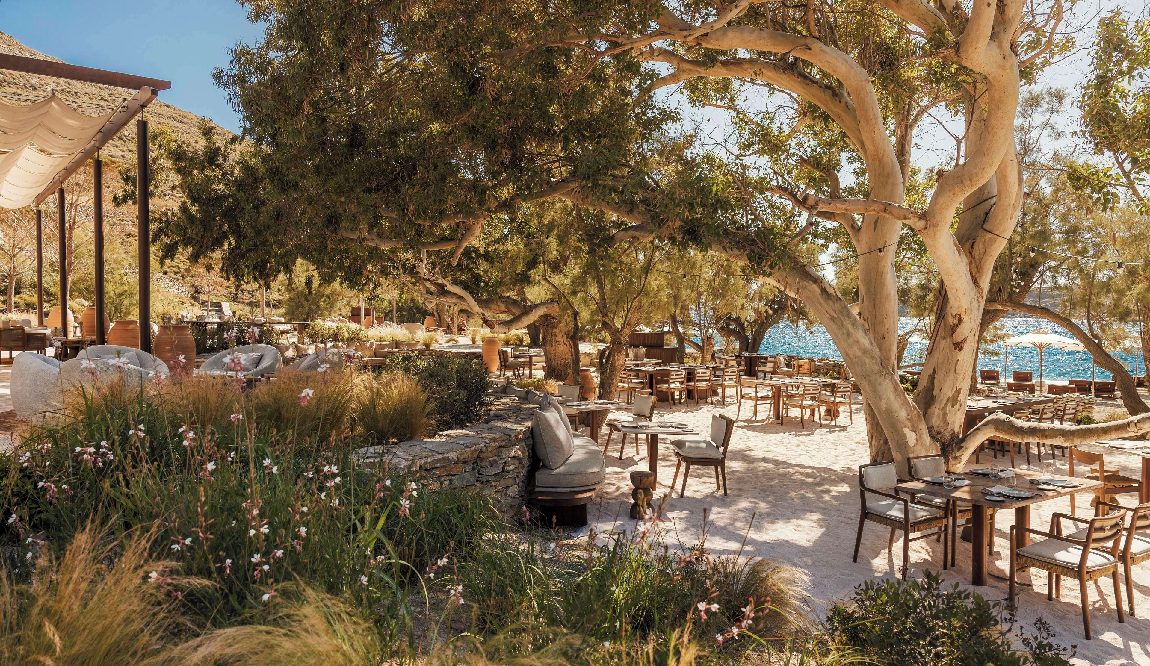 5 bars/lounges, poolside bar