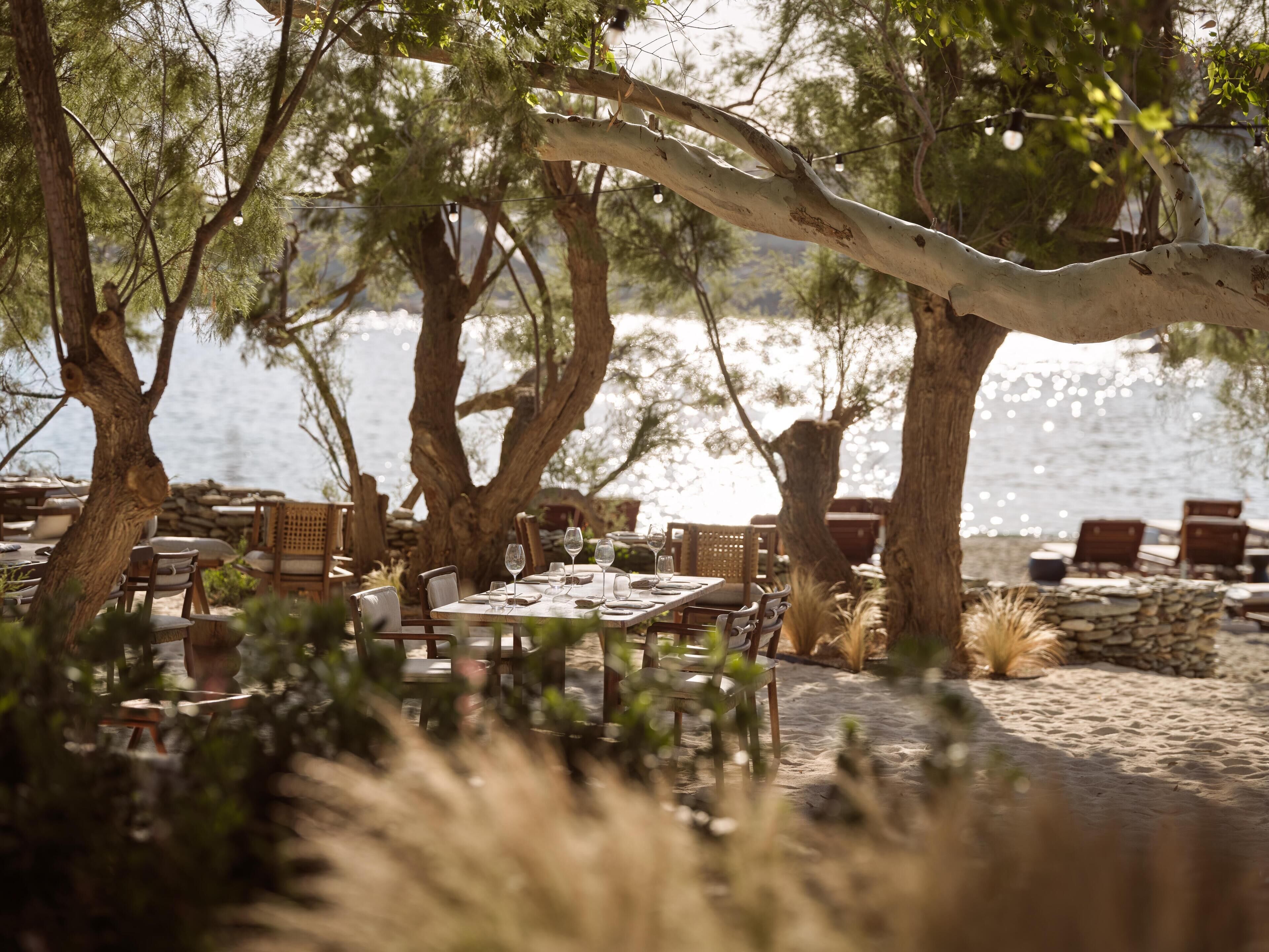 Un espace extérieur aménagé pour les repas, avec des tables et des chaises, entouré d’arbres et offrant une vue sur l’eau.
