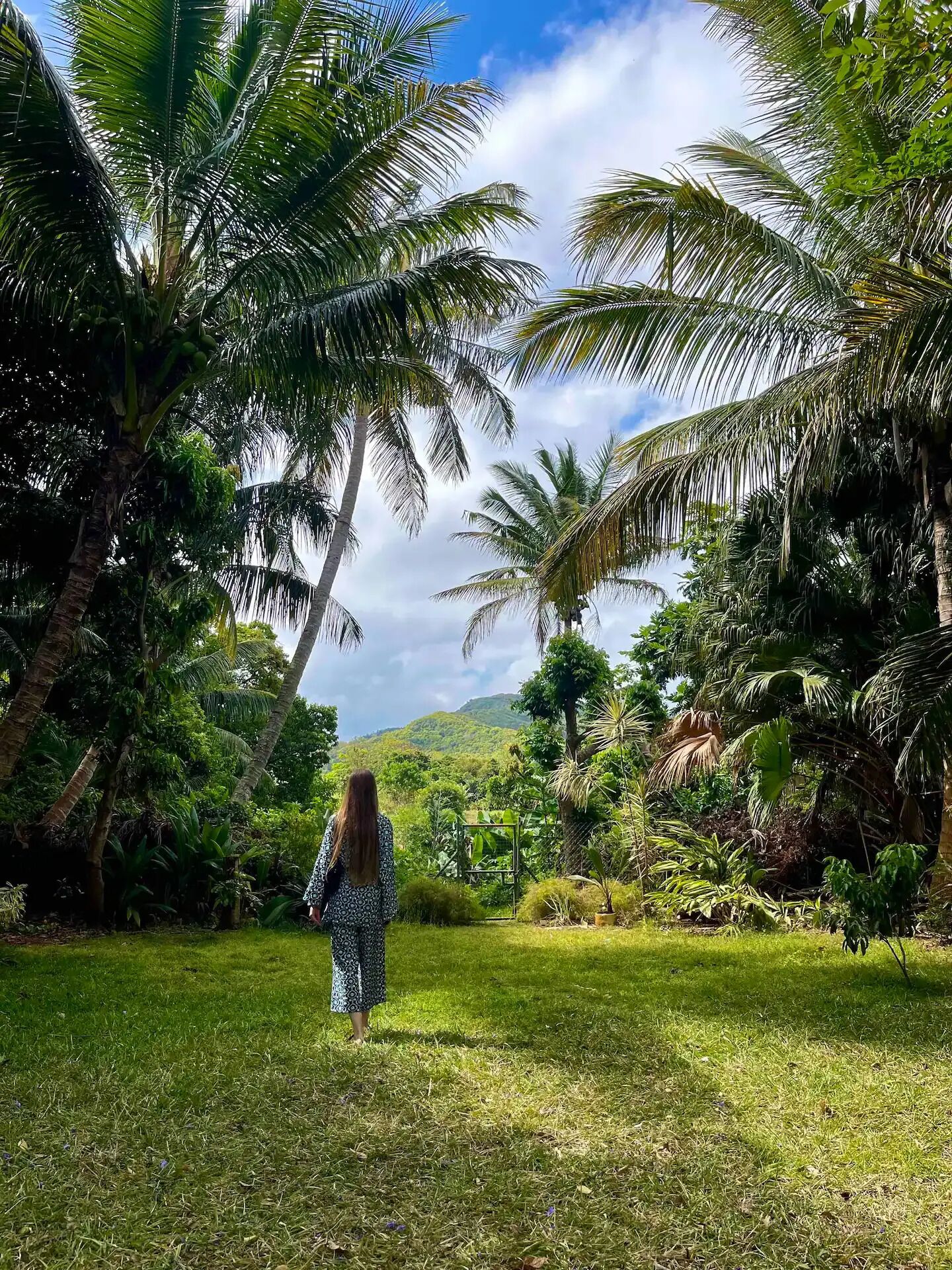 Àrea exterior de l'allotjament