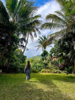 Overnatningsstedets område