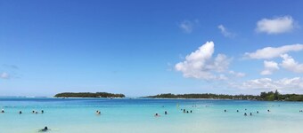 Bel Air retreat in a lush garden

