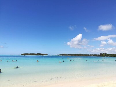 Bel Air retreat in a lush garden