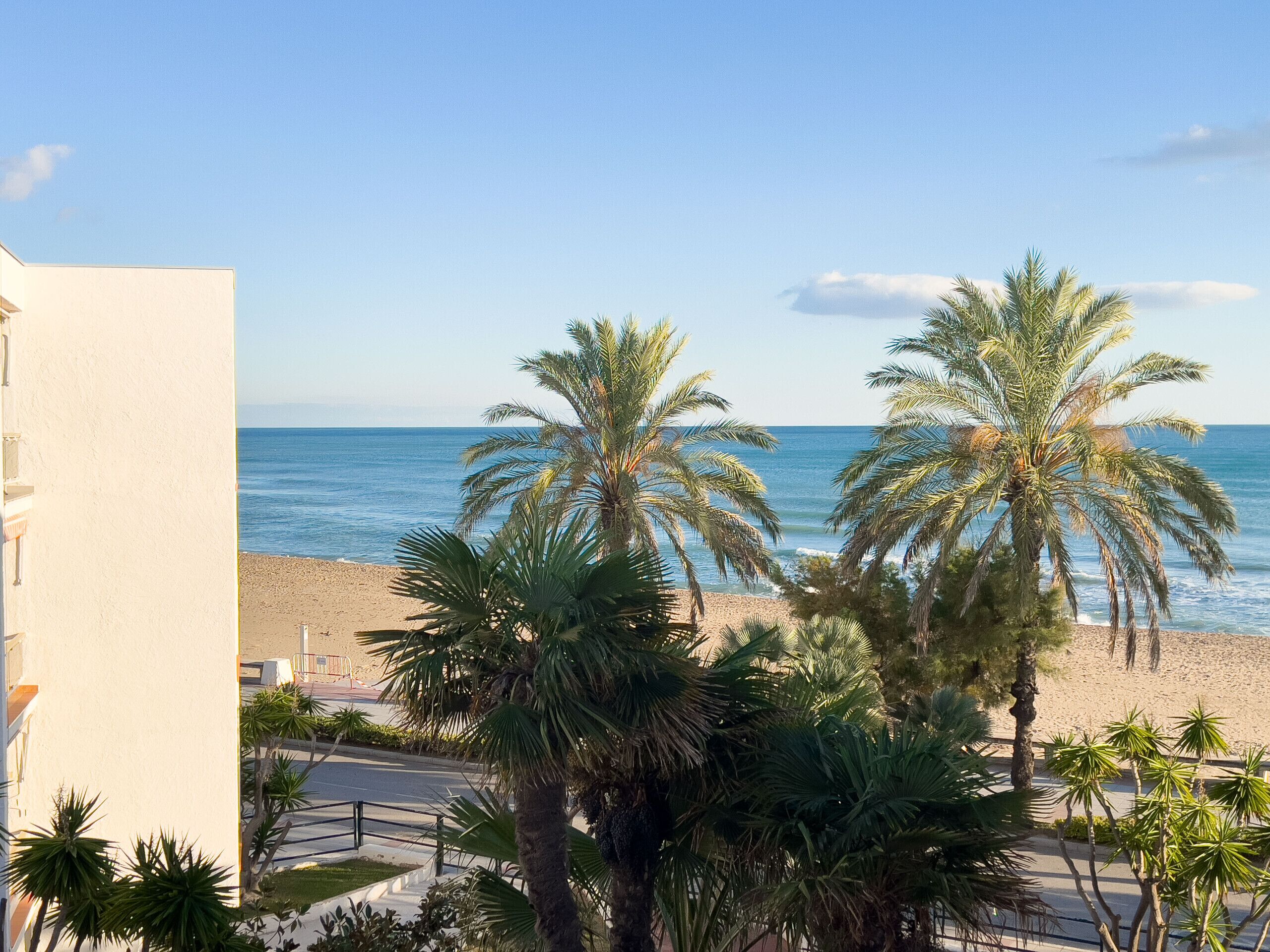 A beach view with palm trees and a clear sky.